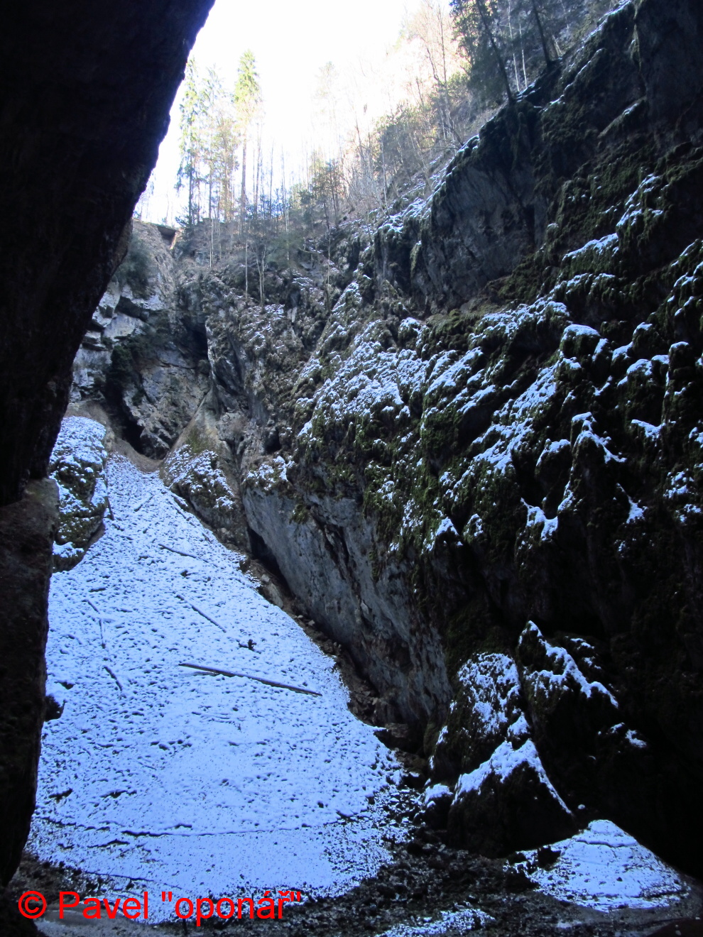 IMG 0111