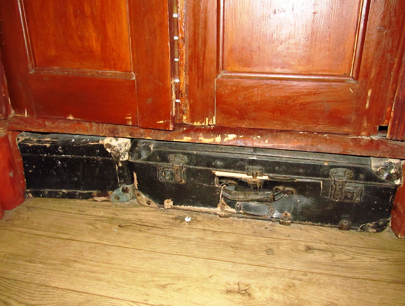 IMG 0007