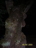 100 7677