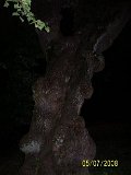 100 7679