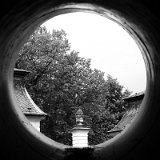14_v_roure3.jpg